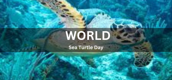 World Sea Turtle Day [ विश्व समुद्री कछुआ दिवस]